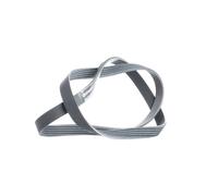 ContiTech Cinghia Poly V 5PK1219 per Alfa Romeo, Citroën, Fiat e Mitsubishi