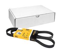 ContiTech Cinghia Poly-V 5PK1295 – cinghia trapezoidale multirighe per Alfa Romeo 164