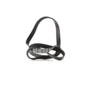 CONTITECH 5PK1300 Cinghia servizi per VW PASSAT (3B3) 1300mm