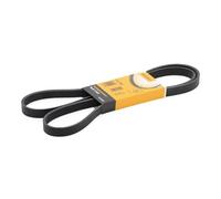 CONTITECH 5PK1592 Cinghia servizi per VW PASSAT (3B2) PASSAT Variant (3B5)