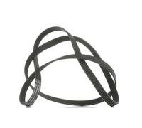 Cinghia Poly-V CONTITECH 5PK1788