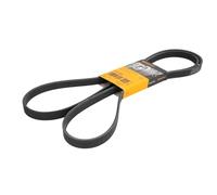 CONTITECH 5PK2060 Cinghia servizi Cinghia Poly-V Cinghia alternatore Cinghia dei servizi