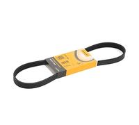 CONTINENTAL CTAM cinghia Poly-V 5PK865 5PK865 5 nervature 865 mm