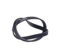 CONTINENTAL CTAM cinghia Poly-V 5PK900 5PK900 5 nervature 900 mm