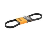 CONTITECH 5PK906 Cinghia servizi per BMW 5 Sedan (E39) 906mm
