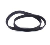 CONTITECH 5PK975 Cinghia servizi per OPEL Vectra A Limousine (J89) 975mm