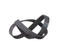 ContiTech Cinghia Poly V 6PK1005 per Alfa Romeo Audi BMW Fiat Seat Skoda