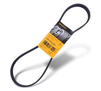 Cinghia a V CONTINENTAL 6PK1019 ELAST