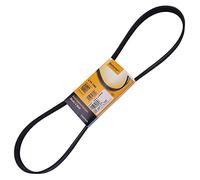 6PK1080 CONTINENTAL CTAM Cinghia Poly-V per ALFA ROMEO,AUDI,BMW,CITROËN,DS,FIAT,