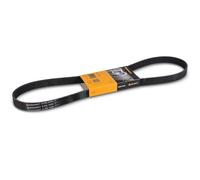 6PK1080 CONTINENTAL CTAM Cinghia Poly-V per ALFA ROMEO,AUDI,BMW,CITROËN,DS,FIAT,