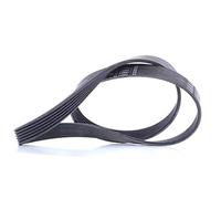 6PK1090 Cinghia Servizi Alternatore Citroen C3 1.4 HDI 1.6 HDI Peugeot 207 307