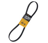 ContiTech Cinghia Poly-V CTAM 6PK1100 per Audi BMW Citroën Honda Nissan Seat