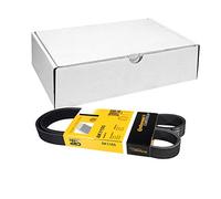 ContiTech Cinghia Poly-V 6PK1105 CTAM per Alfa Romeo, Bedford, Fiat, Lancia