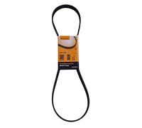 CONTINENTAL CTAM cinghia Poly-V 6PK1125 6PK1125 6 nervature 1.125 mm