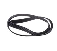 Cinghia Trasmissione Alternatore 6PK1205 per Citroen C5 Ford Nissan Opel