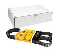 CONTITECH 6PK1249 ELAST Cinghia servizi