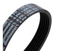 Contitech 6 PK 1256 Cinghie VI