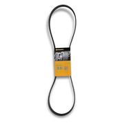 Cinghia a V CONTITECH 6PK1264