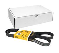ContiTech Cinghia Poly-V CTAM 6PK1432 per Audi, BMW, Chrysler, Ford, Mitsubishi, Seat