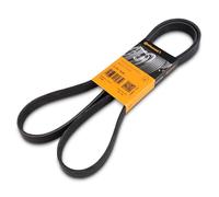 Contitech 6 PK 1698 Cinghie Trapezoidale