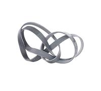 6PK1705 Cinghia Servizi Ford Fiesta 5 Fusion 1.4 TDCi Doblo 1.6 Multijet c/Clima