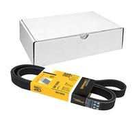 CONTITECH 6 PK 1805 Cinghie Trapeiz
