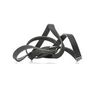 Contitech 6 PK 1830 Cinghie Trapezoidale