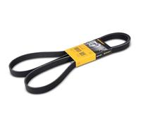 Contitech 6 PK 1870 Cinghie Trapezoidale