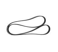 Contitech 6 PK 1885 Cinghie Trapezoidale