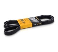 Cinghia Poly-V CONTINENTAL 6PK2140