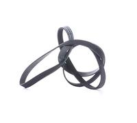 Contitech 6 PK 2225 Cinghie Trapezoidale