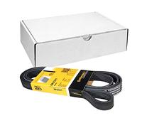 Contitech 6 PK 2241 Cinghie Trapezoidale