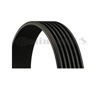 Contitech 6 PK 780 ELAST Cinghie Trapezoidale