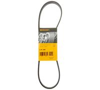 Contitech 6 PK 850 Cinghie Trapezoidale