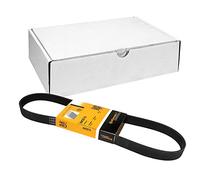 CONTITECH 6PK875 Cinghia servizi per OPEL Movano Kastenwagen (X70) 875mm