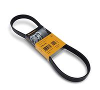 CONTITECH 6 PK 894 Cinghie Trapeiz