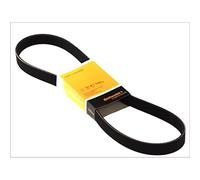 CONTITECH 6747022736 Cinture