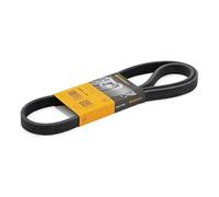 CONTITECH 6DPK1195 Cinghia servizi per VW Golf IV Schrägheck (1J1) BORA 1195mm