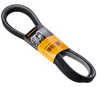 CONTITECH 6DPK1817 Cinghia Poly-V