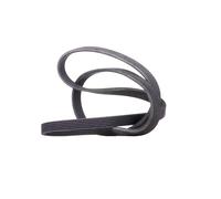 CONTITECH 6DPK1853 Cinghia servizi