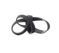 CONTITECH 6PK1000 Cinghia servizi per VW Polo Schrägheck (6R1, 6C1) 1000mm