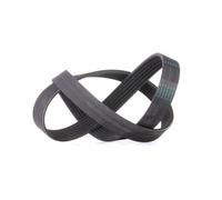 CONTITECH 6PK1005 Cinghia servizi per VW Polo Schrägheck (6R1, 6C1) TIGUAN (5N)