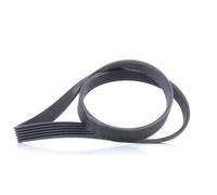 Cinghia a V CONTINENTAL 6PK1019 ELAST
