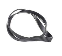 Contitech 6PK1020EXTRA Cinghie Trapezoidale