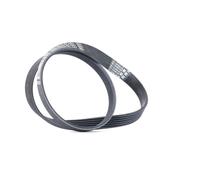 CONTITECH 6PK1029 ELAST Cinghia servizi