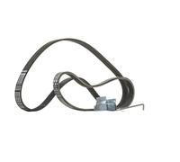 CONTITECH 6PK1029 ELAST T1 Kit Cinghie Poly-V