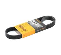 CONTITECH 6PK1054 Cinghia servizi per VW Polo Hatchback (6R1, 6C1) 1054mm