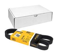ContiTech Cinghia Poly-V 6PK1065 CTAM per BMW, Citroën, Peugeot, Renault, Renault Trucks