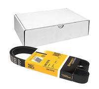 Conti 6PK1070 Cinghia Scanalata per Audi A3 Citroen Peugeot Seat Ibiza Skoda VW