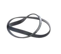 6PK1080 CONTINENTAL CTAM Cinghia Poly-V per ALFA ROMEO,AUDI,BMW,CITROËN,DS,FIAT,